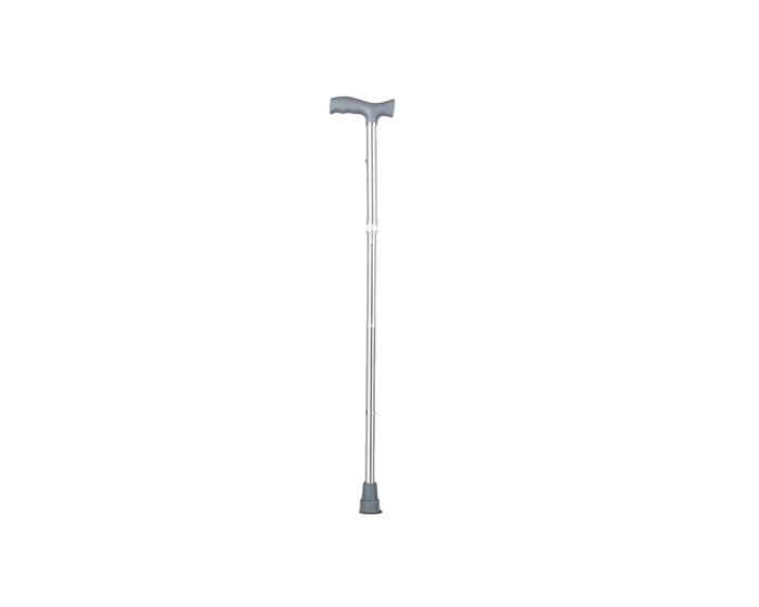 Walking Stick Walking Stick